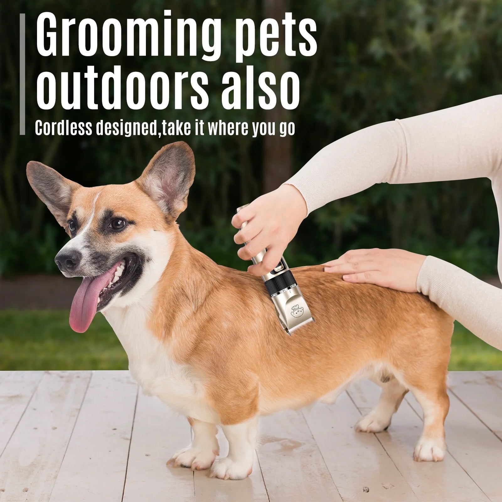 Pet Essentials